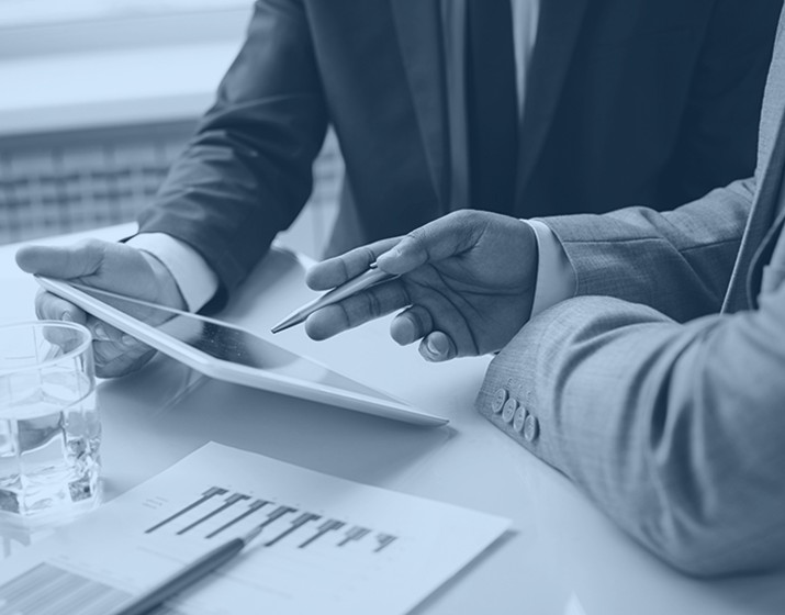 Audit & Consulting